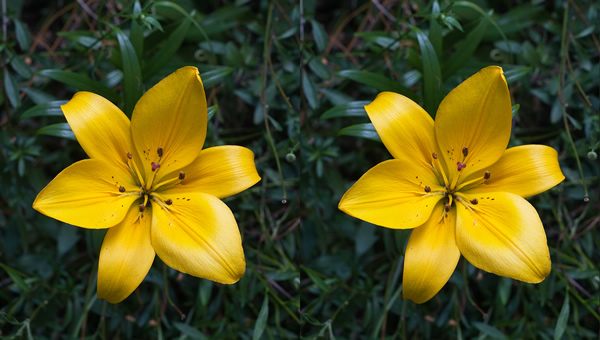 Beispiel für Cros-Eyed Stereo-Bild